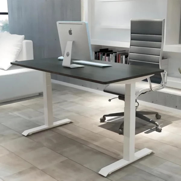 Dual-motor sit-stand desk with timotion systems 01 -Vakadesk(2)