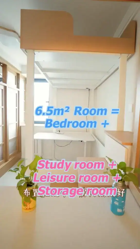 One small room in multifunctional uses with Electric loft bed (1)